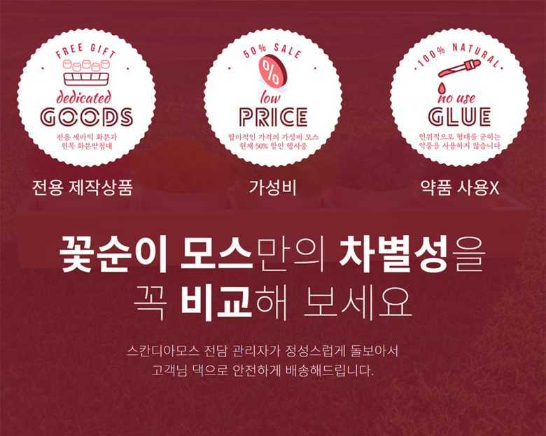 공기정화 음지식물 인리어러 이끼 화분 스칸디아모스 5색 상세 이미지 15