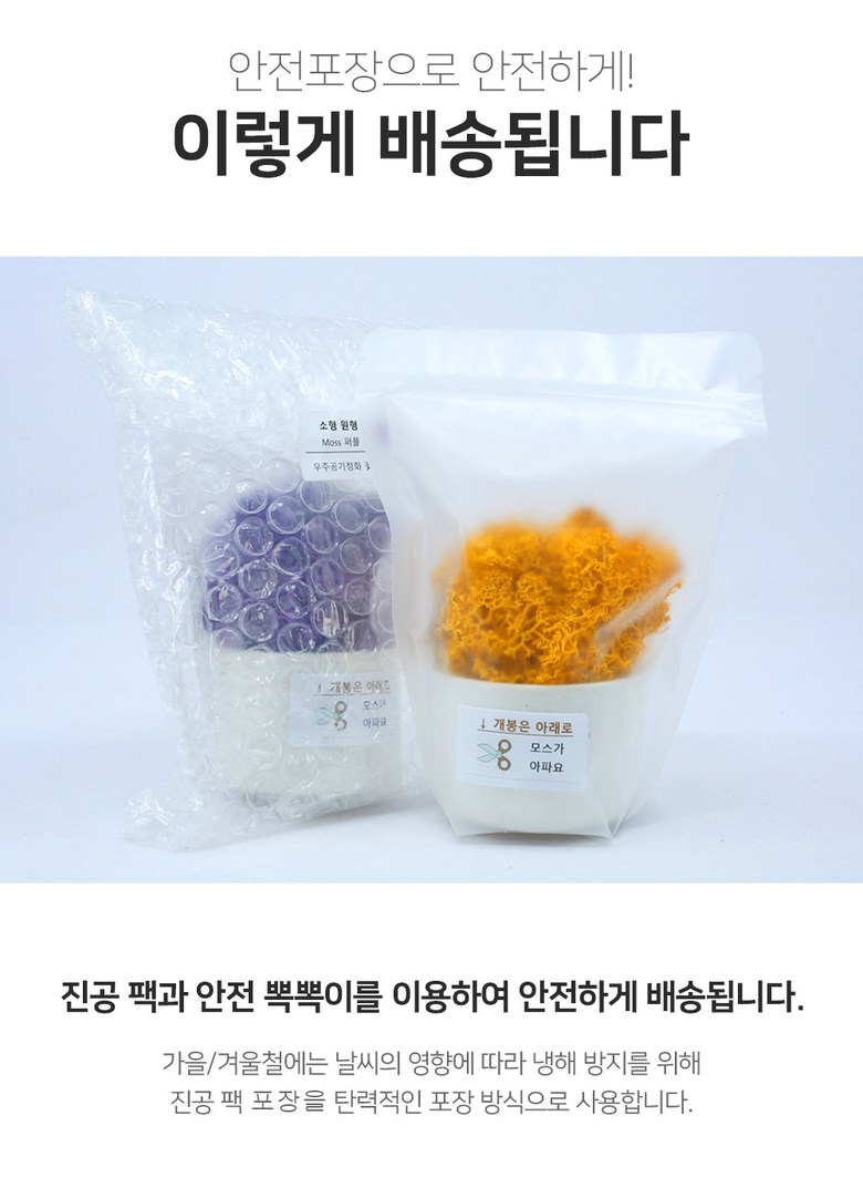공기정화 음지식물 인리어러 이끼 화분 스칸디아모스 5색 상세 이미지 5