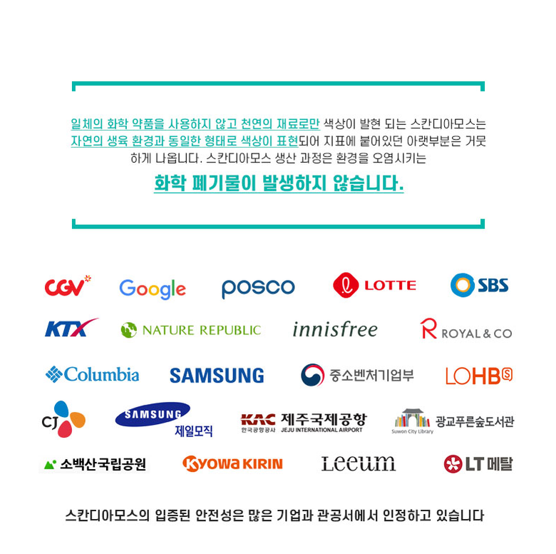 공기정화 음지식물 인리어러 이끼 화분 스칸디아모스 5색 상세 이미지 8