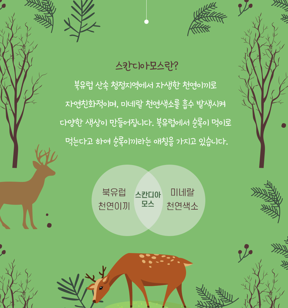 공기정화 스칸디아모스 이끼 음지식물 무지개 모스 화분 7색 상세 이미지 2