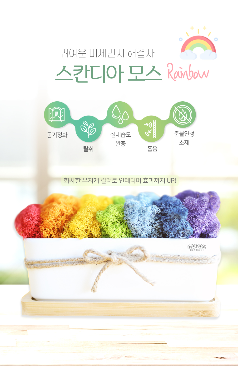 공기정화 스칸디아모스 이끼 음지식물 무지개 모스 화분 7색 상세 이미지 1