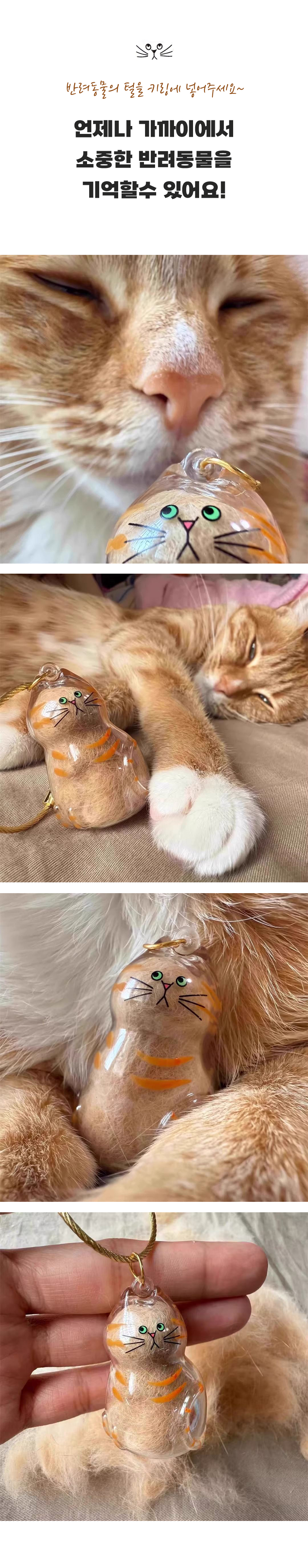 dogcat_002.jpg