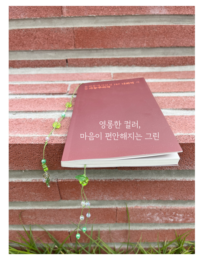 본문 이미지