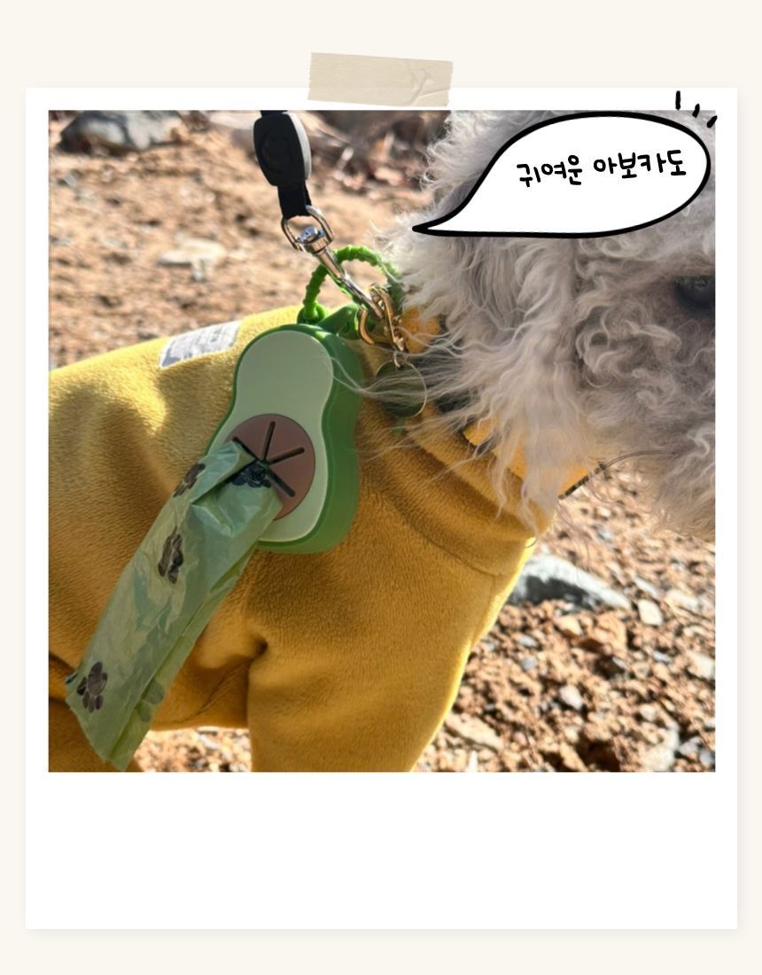 003.png
