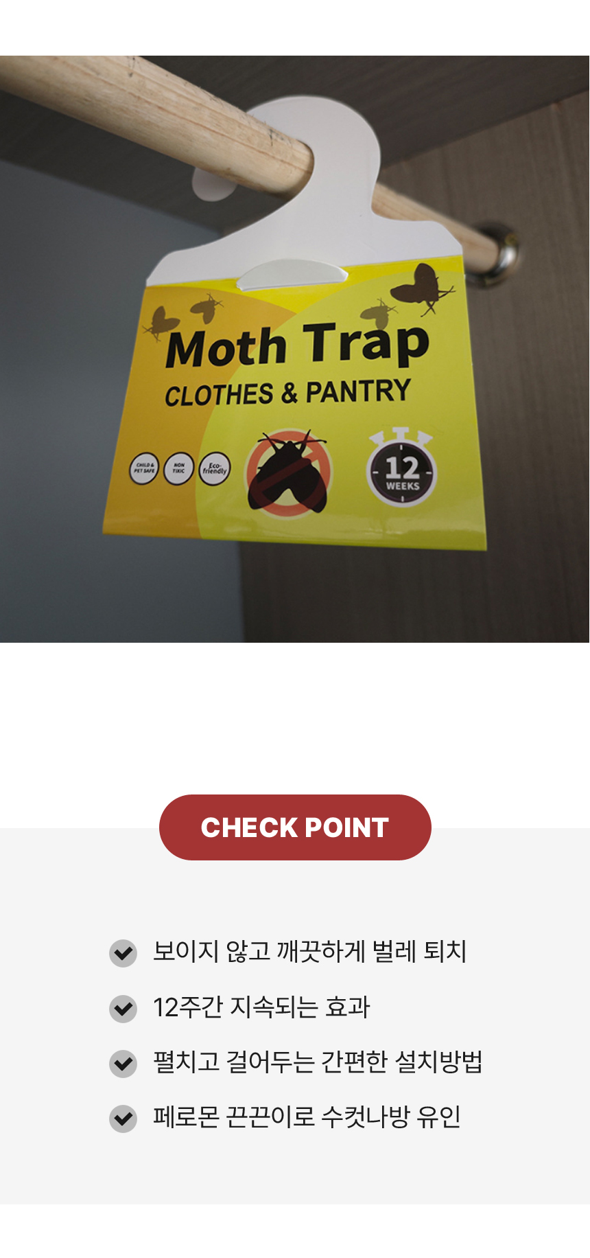 bug_002.jpg