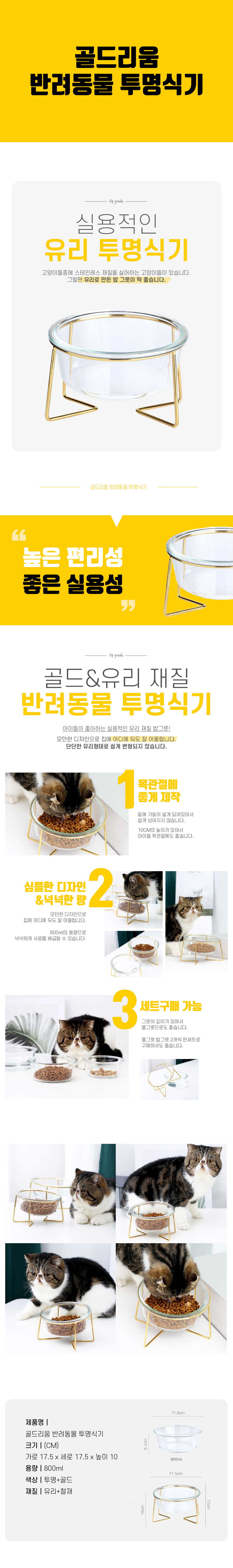 투명 프레임 식기 반려동물 골드 유리 상세 이미지 2