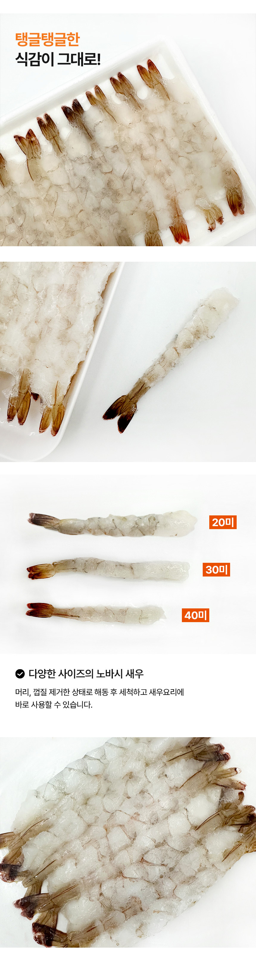 d_Frozen_nobashishrimp_02.jpg