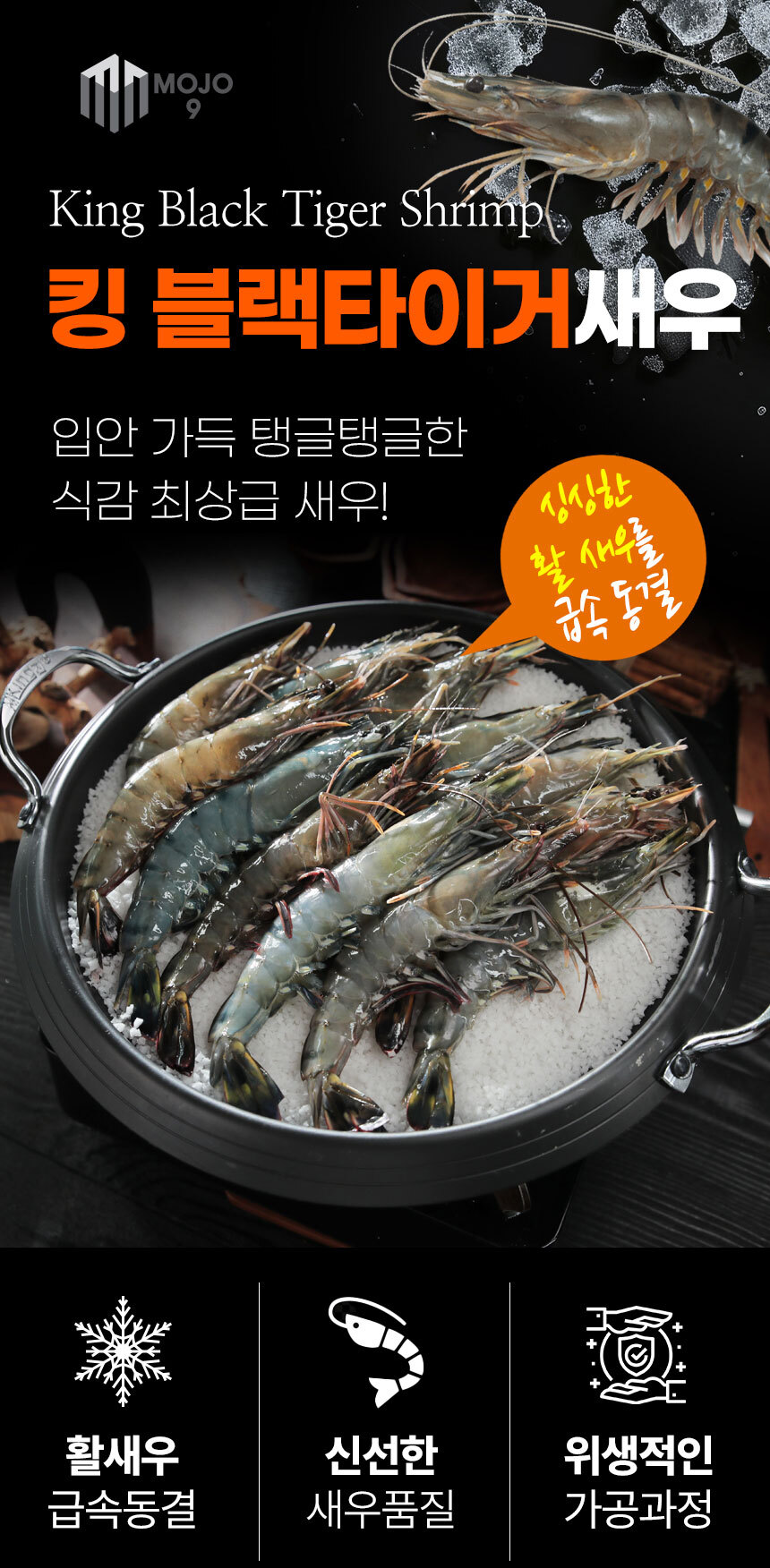 Black_Tiger_Shrimp_01.jpg