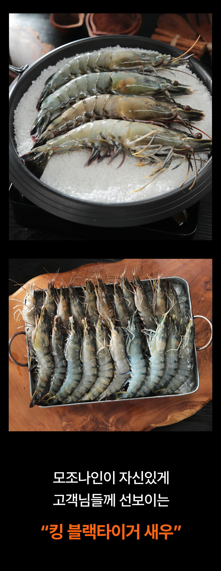 Black_Tiger_Shrimp_06.jpg