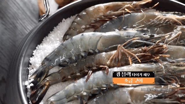 Black_Tiger_Shrimp_07.GIF