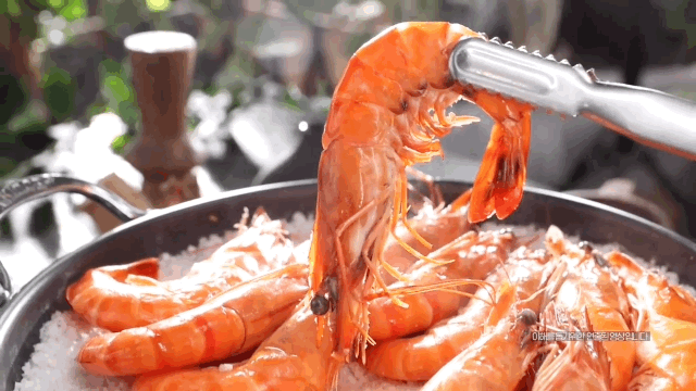 Black_Tiger_Shrimp_08.GIF