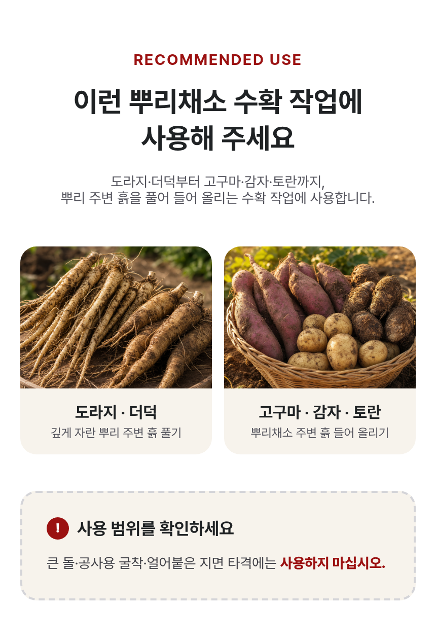 10-%EB%8F%84%EB%9D%BC%EC%A7%80%ED%8F%AC%ED%81%AC.png