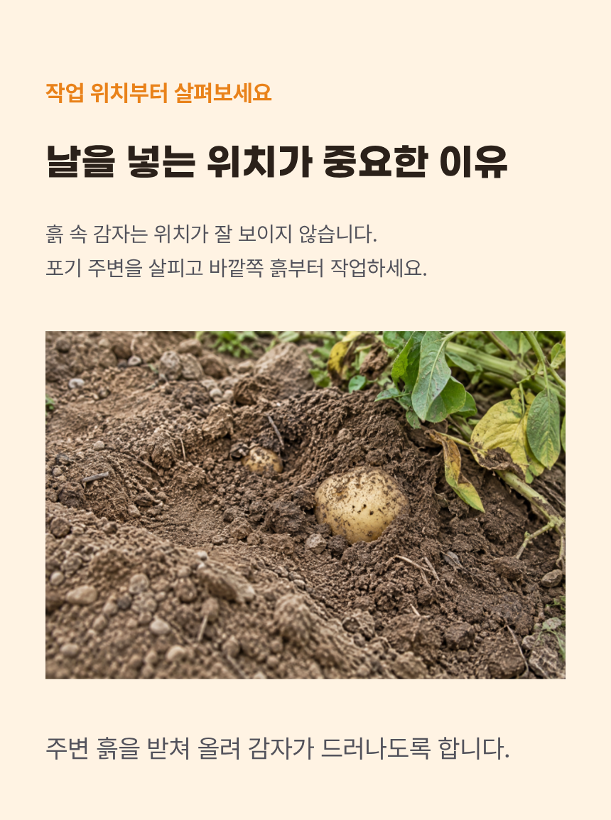 Potato%20Fork-03.png