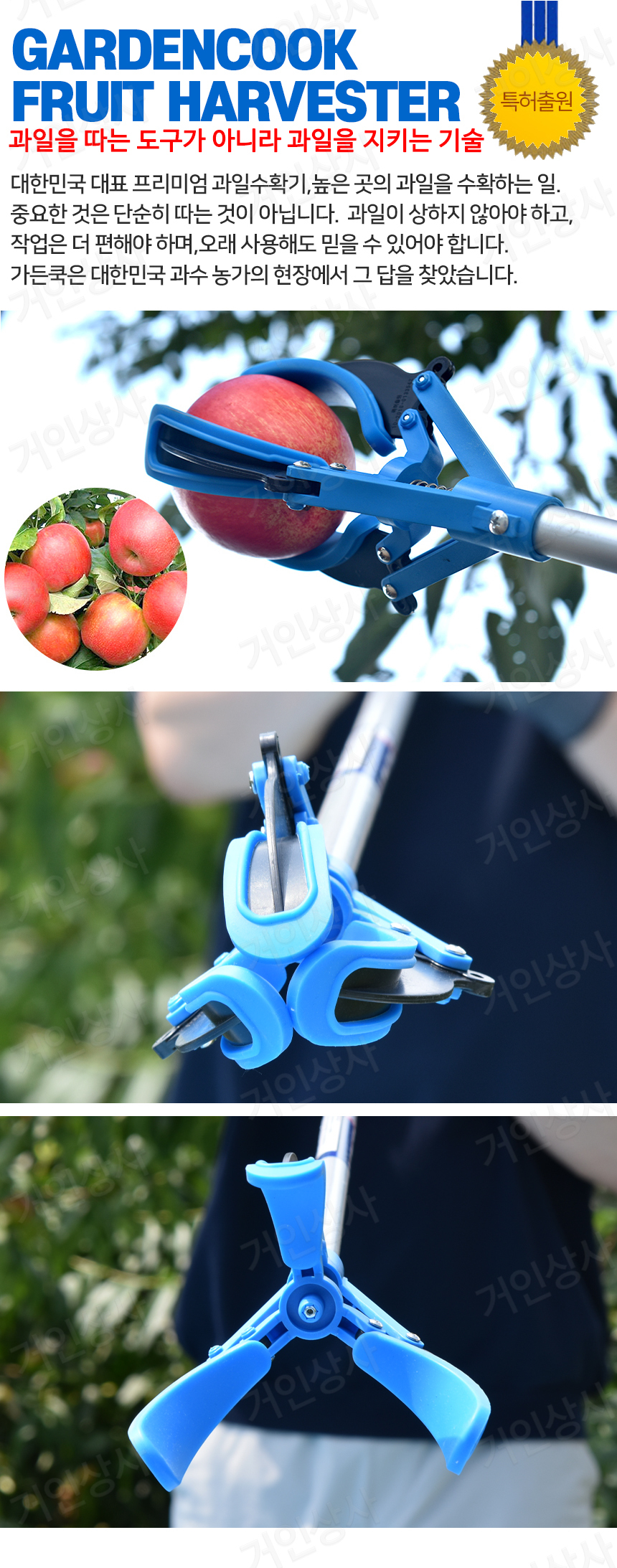 G-N-APPLE-01.jpg