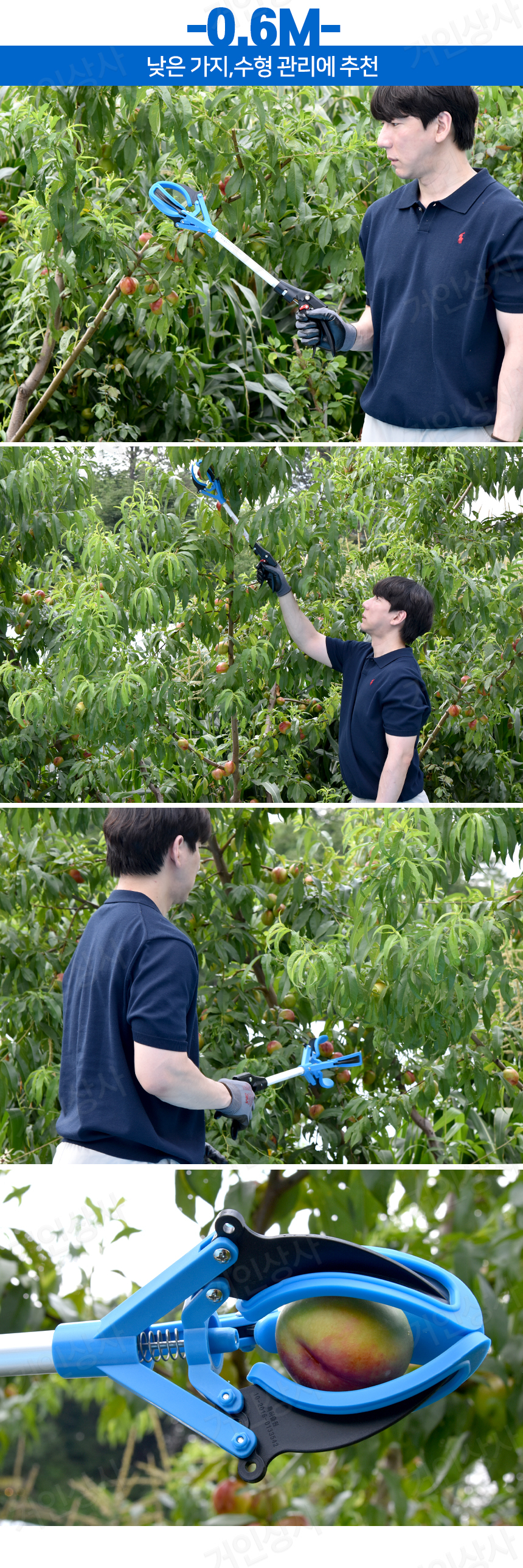 G-N-APPLE-06.jpg