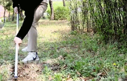 G-removal-950-00.gif