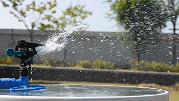 GW-220P-B-004.gif