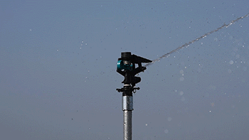 GW-220P-T2-001.gif