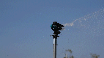 GW-220P-T2-002.gif
