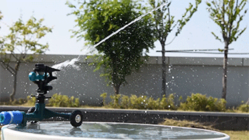 GW-220P-W-001.gif