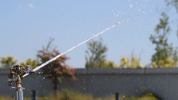 GW-250-B-001.gif
