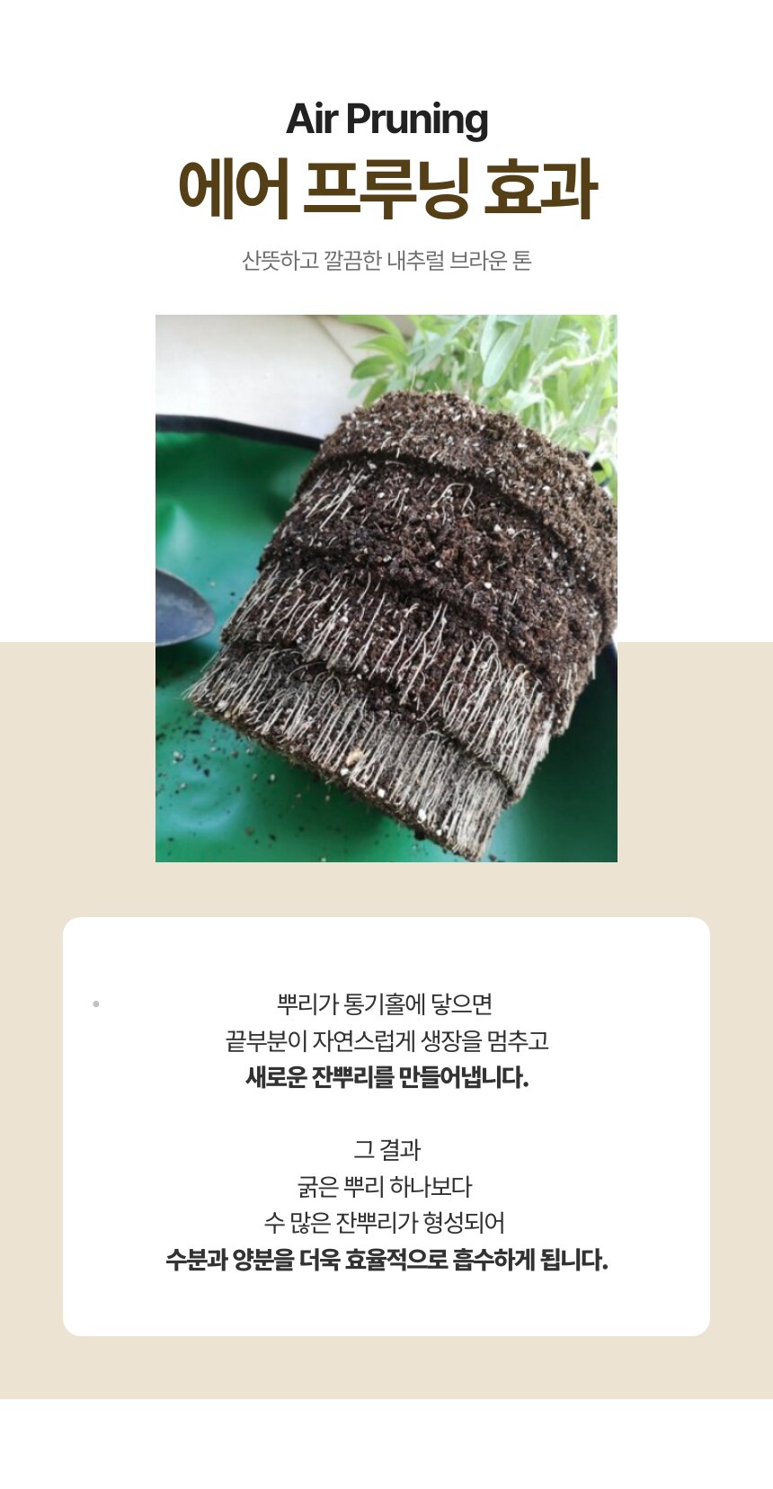 ventpot_06.jpg