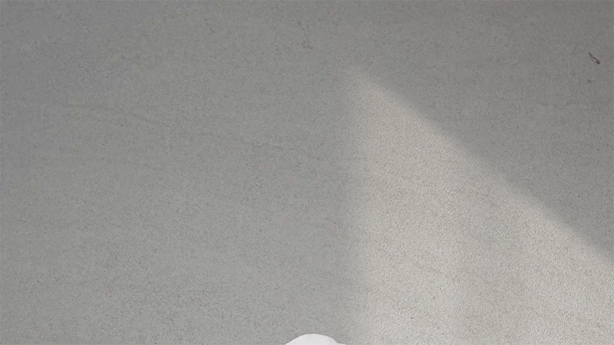 41.gif