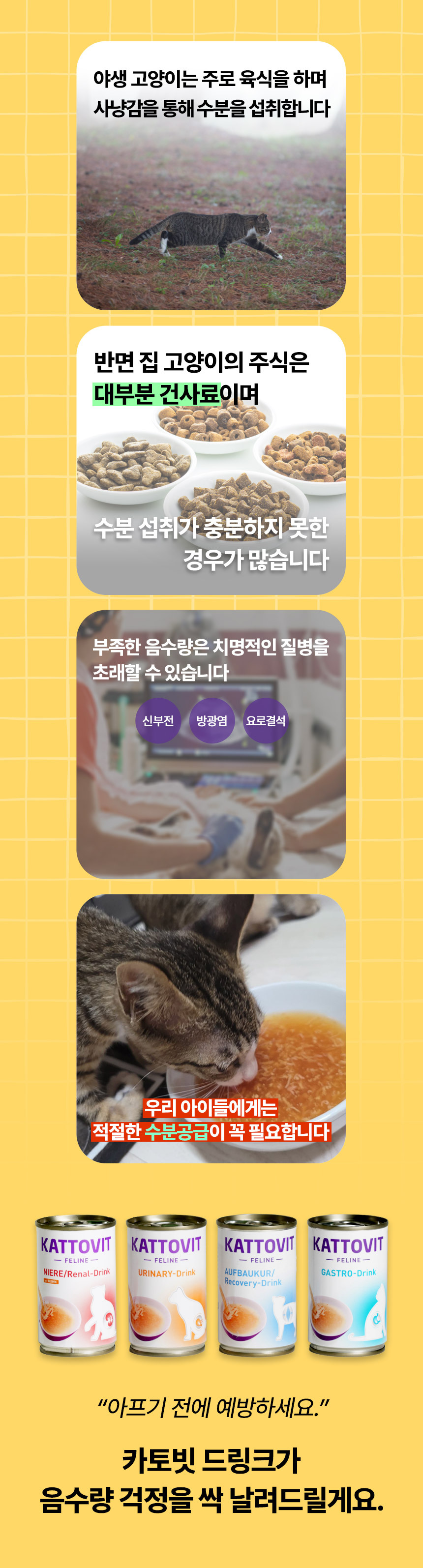 kattovit_drink_02.jpg