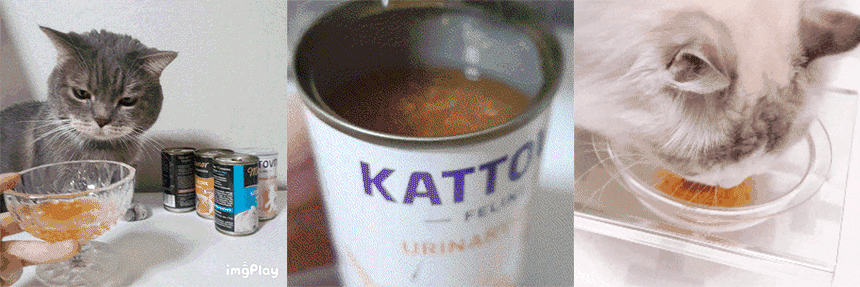 kattovit_drink_08.gif