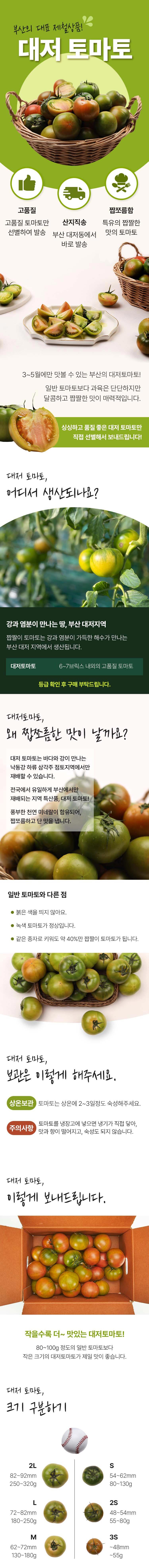 부산 고품질 대저토마토 2.5kg(사이즈 선택)