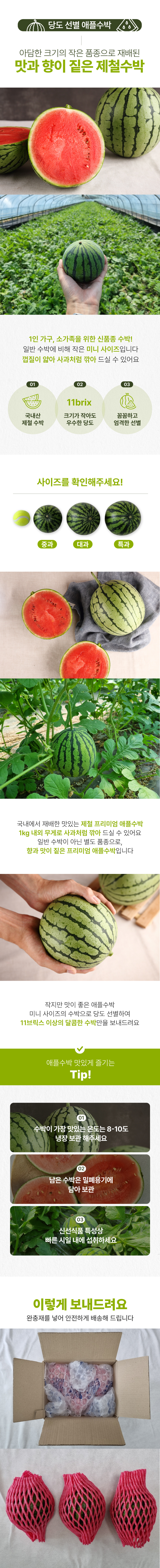 국내산 당도선별 미니 애플수박