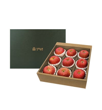 [상하농원] 장수사과 선물세트 2호 4200G*1