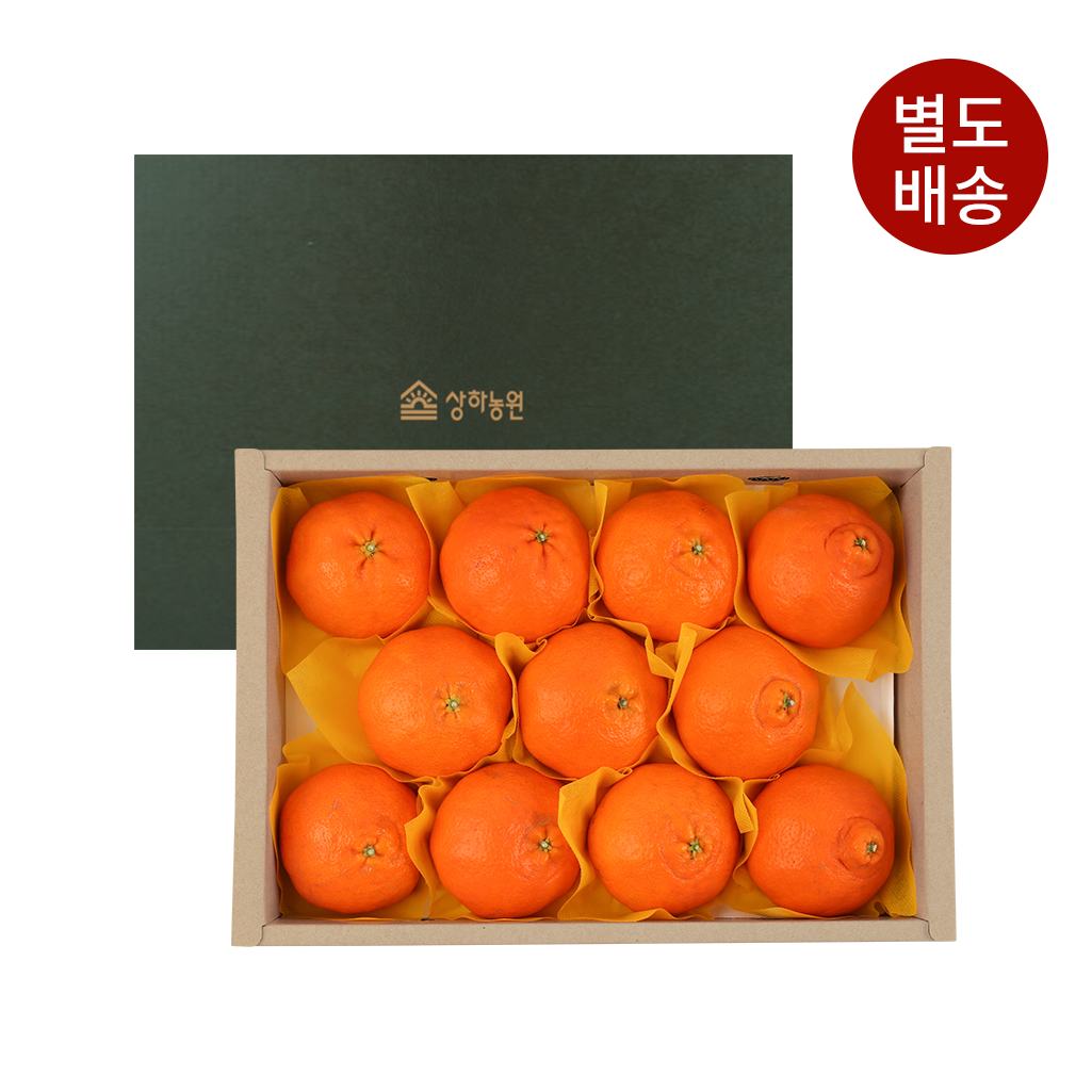 [상하농원] 유기농 레드향 세트 3000G*1