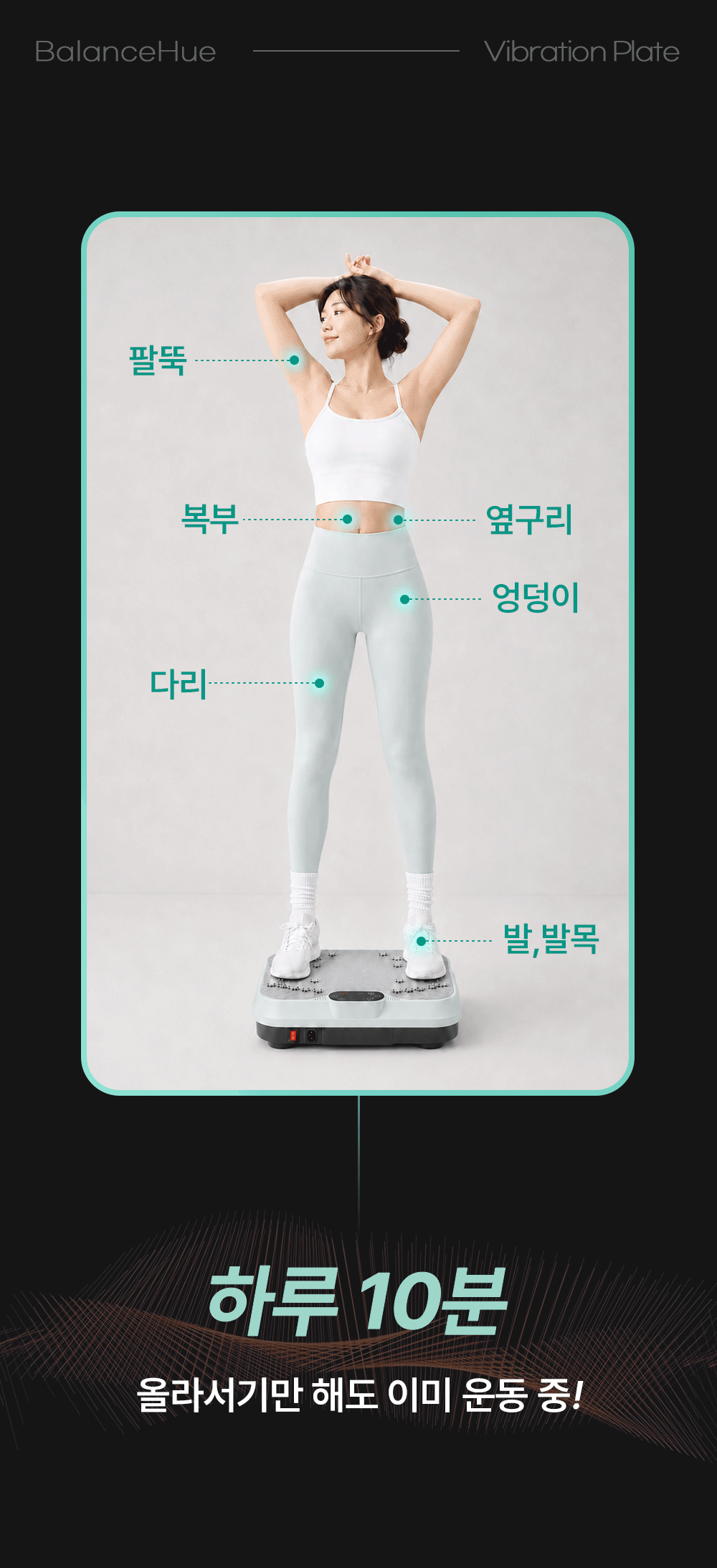 굿프렌드 밸런스휴 진동운동기 DQ-004 여름 다이어트 뱃살빼기 운동기기 헬스 전신플랭크