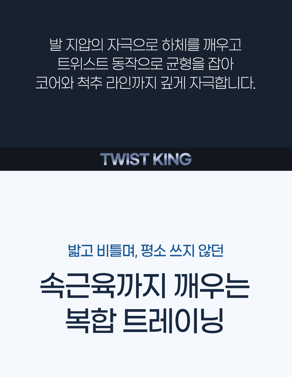 굿프렌드굿핏 트위스트킹 가정용 지압 홈트 유산소 스텝퍼 운동기구
