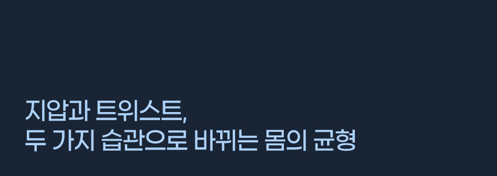 굿프렌드굿핏 트위스트킹 가정용 지압 홈트 유산소 스텝퍼 운동기구