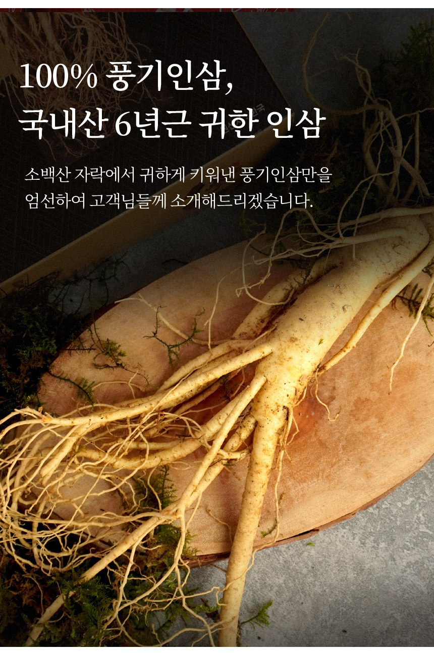 [더조은] 세척 풍기인삼 6년근 수삼 (콩난) 500g 선물세트상품상세_동원몰