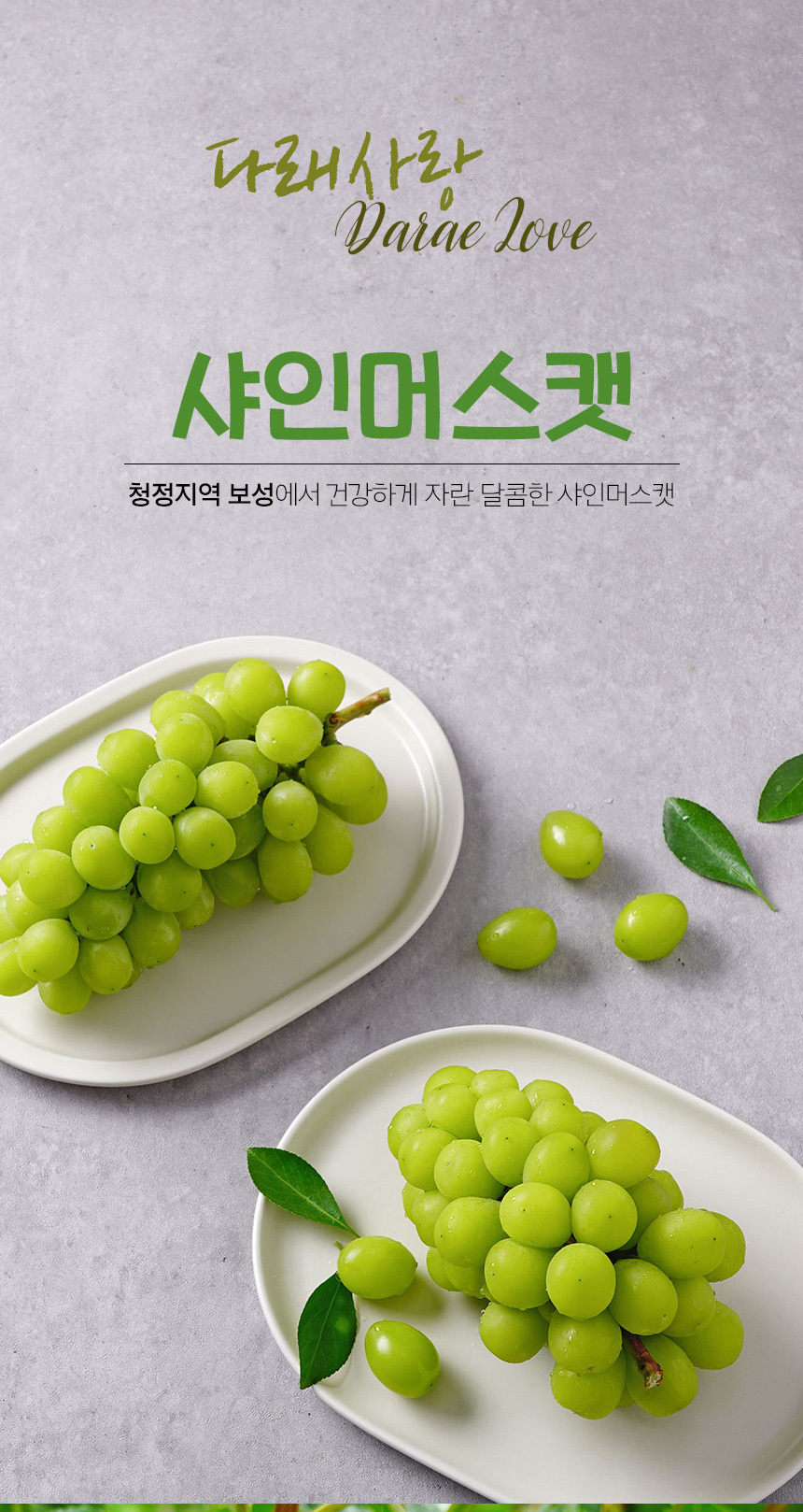 [더조은] 전남 보성 샤인머스캣 4kg 특 (4-6송이)상품상세_동원몰