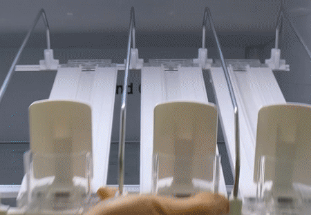 8710765080_008.gif