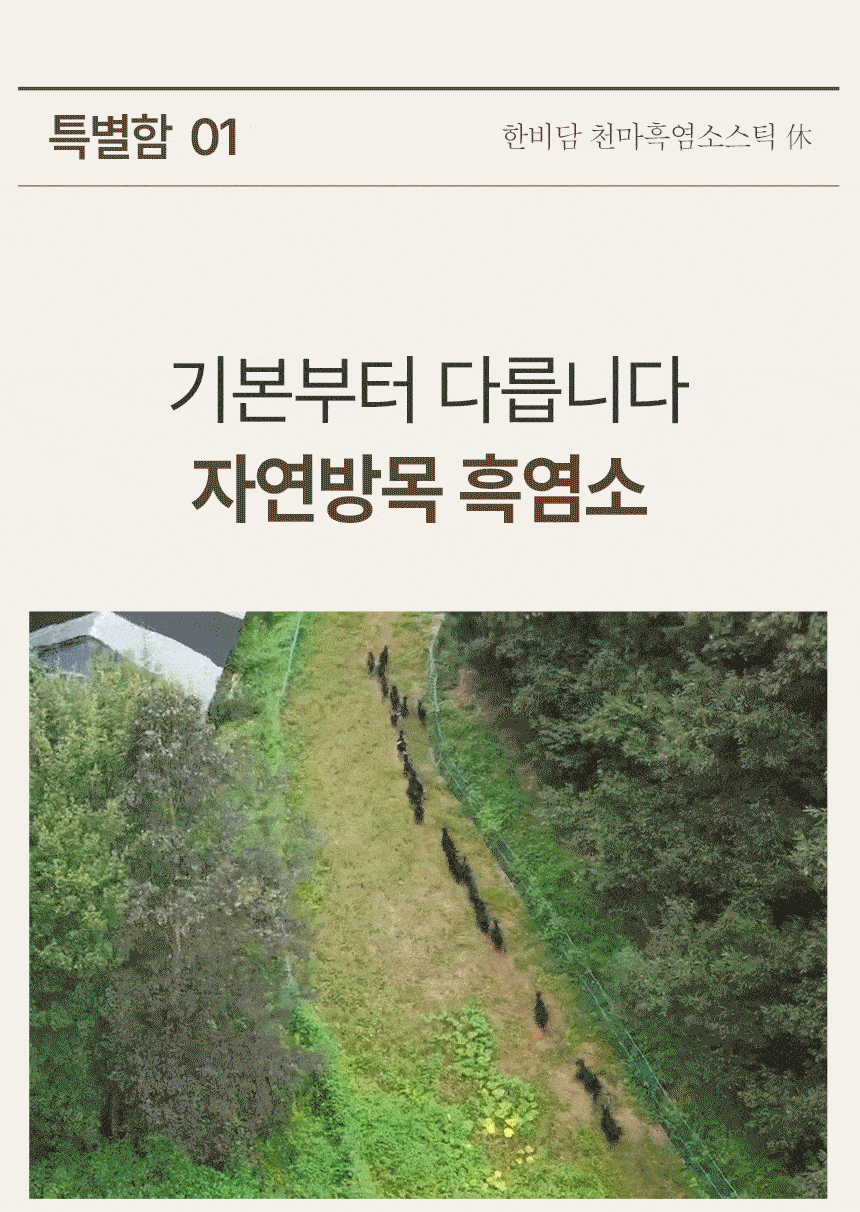 스틱형 흑염소 천마 배합 집중 케어 건강식