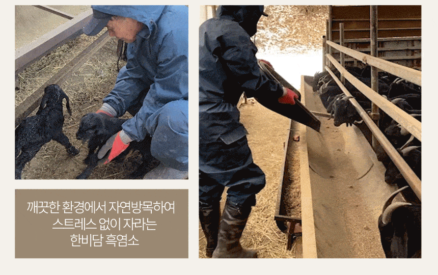 한비담 천마흑염소스틱 에너지 회복 도움