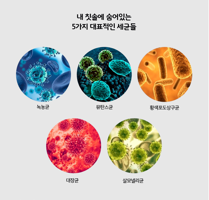 유토렉스 블라썸 UV-C 무선 휴대용 칫솔살균기 학교 여행 UTC-32 상세 이미지 9