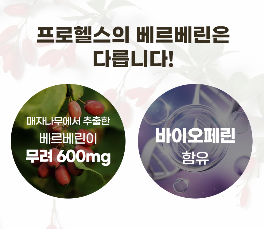 7%EB%B2%A0%EB%A5%B4%EB%B2%A0%EB%A6%B0%20%ED%95%A8%EB%9F%89.jpg