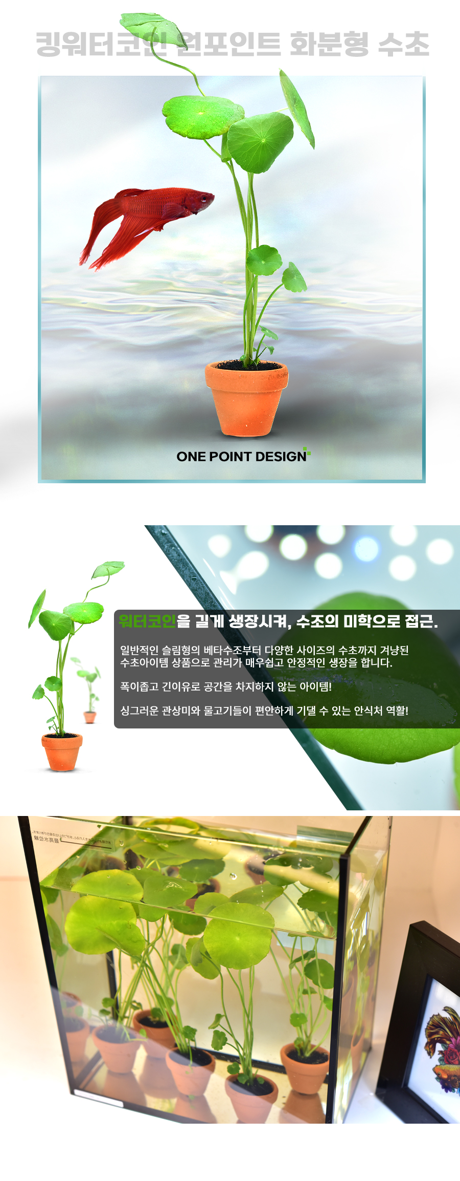 헬로아쿠아 열대어수족관 본점