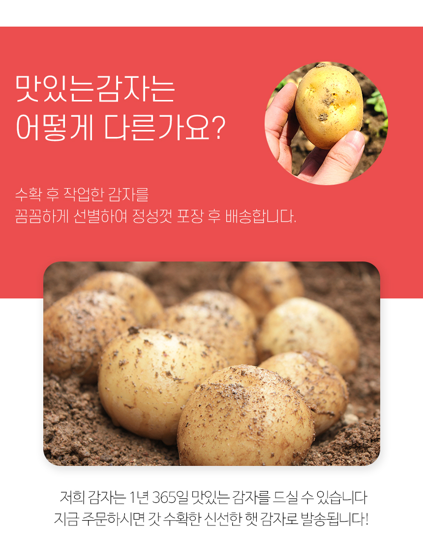 potato_R_09.jpg