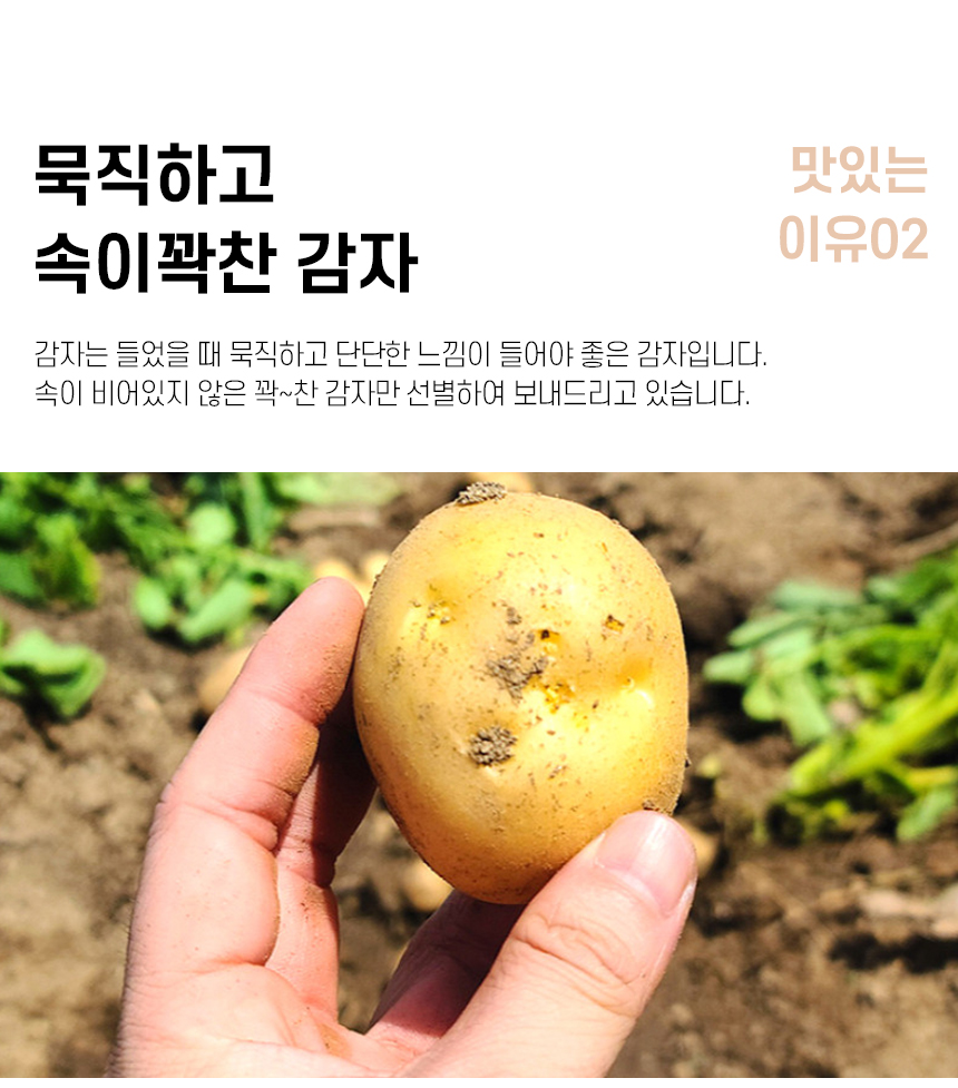 potato_R_12.jpg