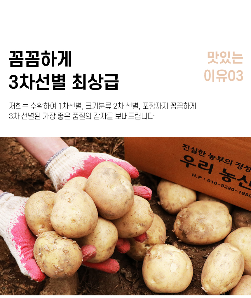 potato_R_13.jpg