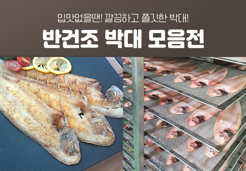 G마켓 - 군산 반건조생선 말린생선 박대 서대 38cm내외 10마리