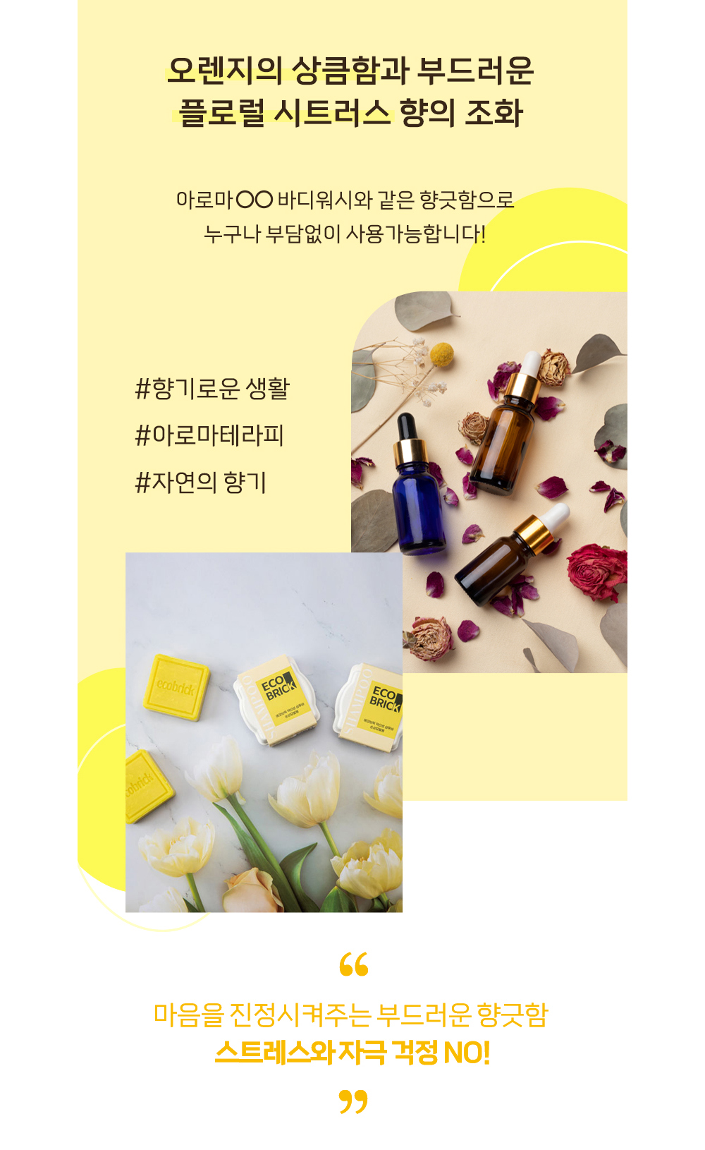 shampoo-bar-damaged-04.jpg