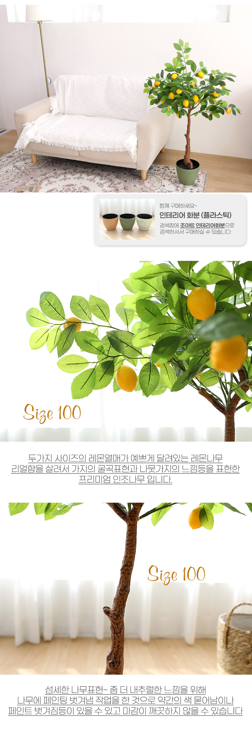 lemon_tree_03.jpg